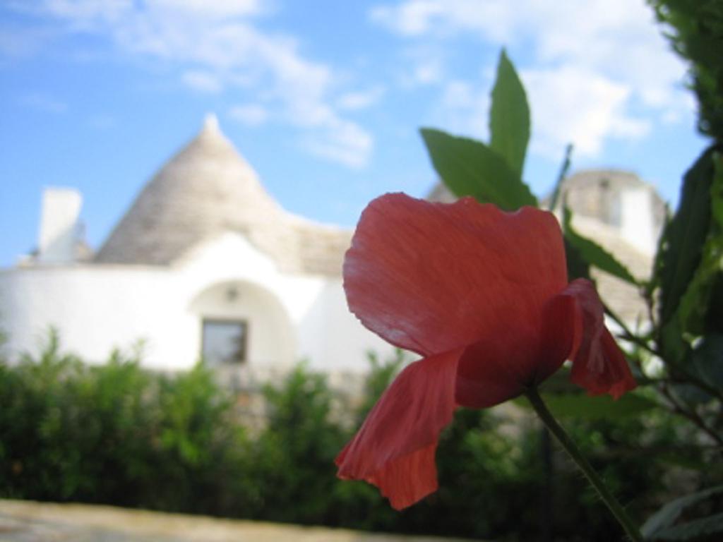 La Trullesa Holiday Alberobello Zewnętrze zdjęcie