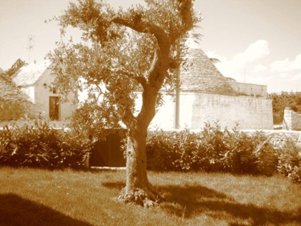 La Trullesa Holiday Alberobello Zewnętrze zdjęcie
